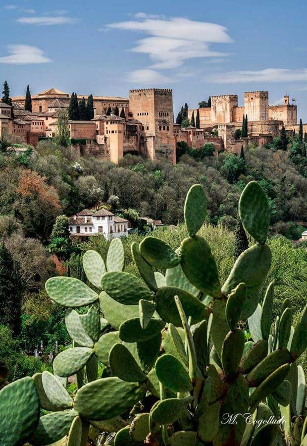 Ferienwohnung Apartamento Realejo Centro Ciudad Granada Exterior foto